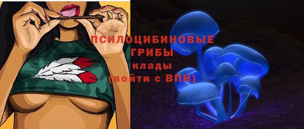 МДПВ Нефтегорск