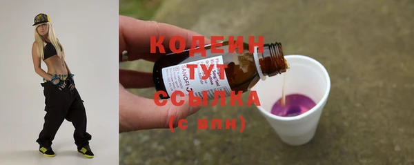 МДПВ Нефтегорск
