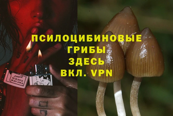 ALPHA-PVP Нея