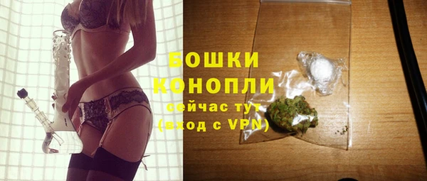 МДПВ Нефтегорск