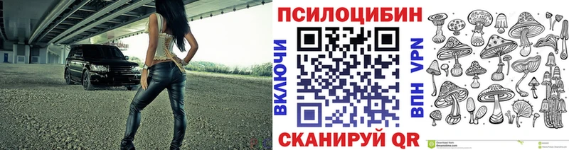 блэк спрут ONION купить наркотики сайты Краснообск Псилоцибиновые грибы Magic Shrooms